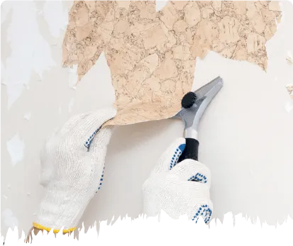 Old Wallpaper Removal